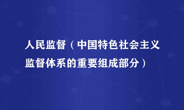 人民监督（中国特色社会主义监督体系的重要组成部分）