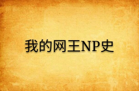 我的网王NP史
