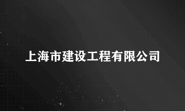 上海市建设工程有限公司