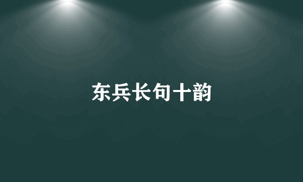东兵长句十韵
