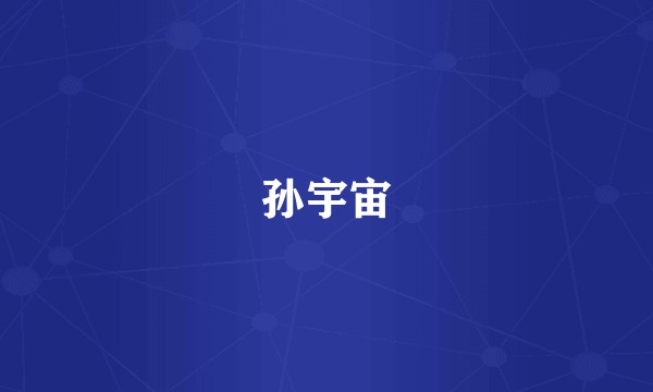 孙宇宙