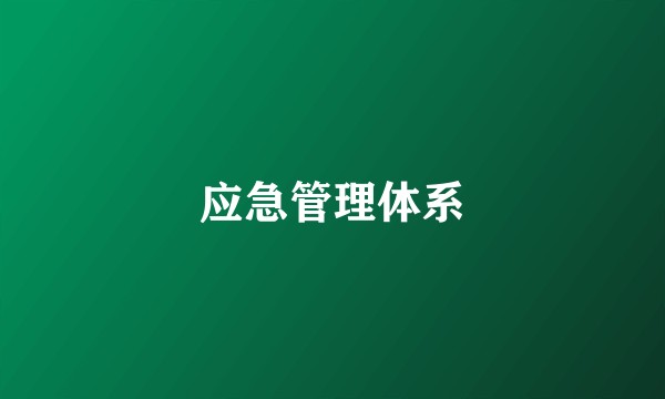 应急管理体系