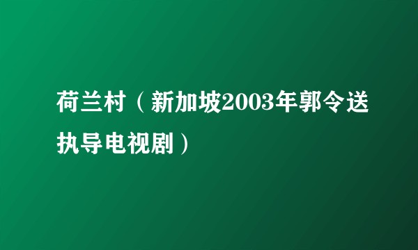 荷兰村（新加坡2003年郭令送执导电视剧）