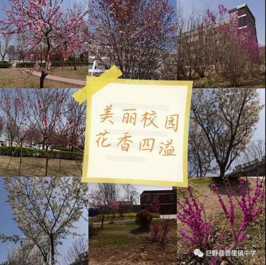 营里镇中学