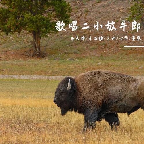 歌唱二小放牛郎（洛天依等虚拟歌手演唱的歌曲）