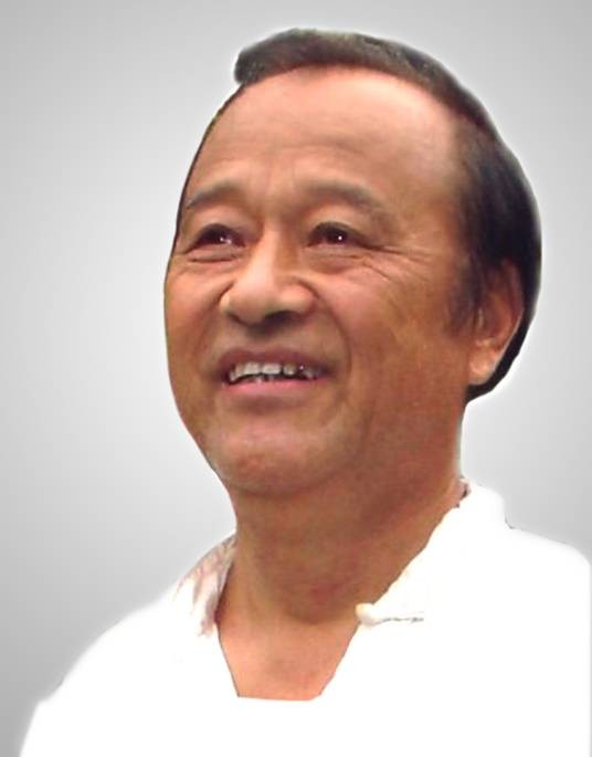 游龙拳