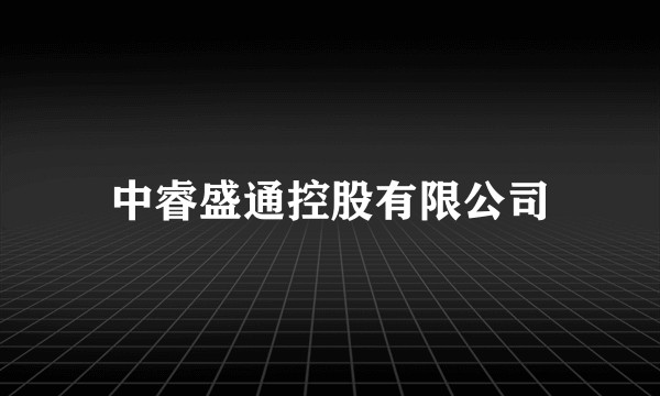 中睿盛通控股有限公司
