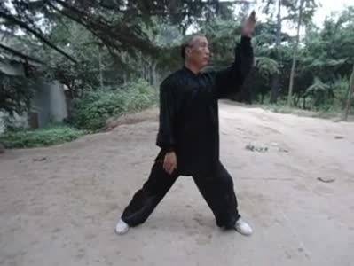 李氏太极拳