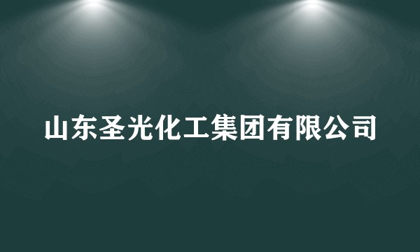山东圣光化工集团有限公司