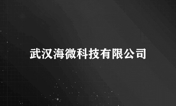 武汉海微科技有限公司
