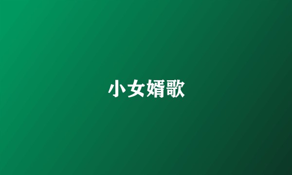 小女婿歌