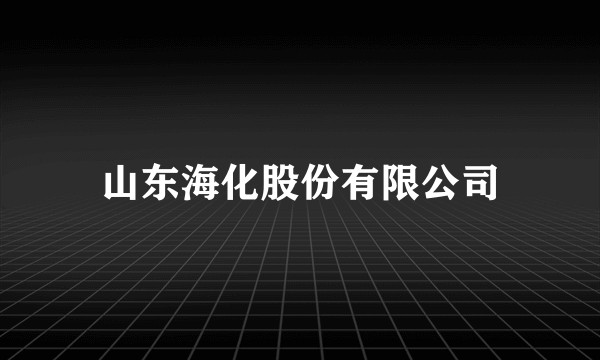 山东海化股份有限公司