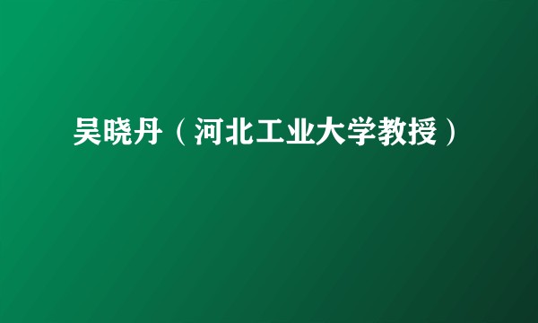 吴晓丹（河北工业大学教授）