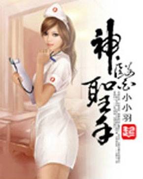 神医圣手（小小羽创作的网络小说）
