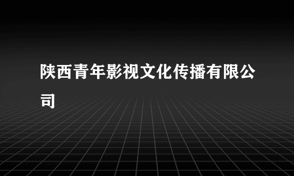 陕西青年影视文化传播有限公司