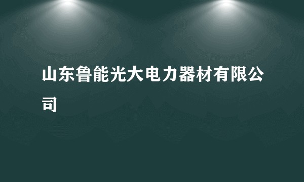 山东鲁能光大电力器材有限公司