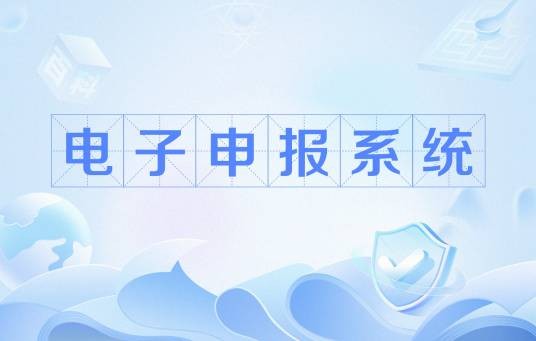 电子申报系统
