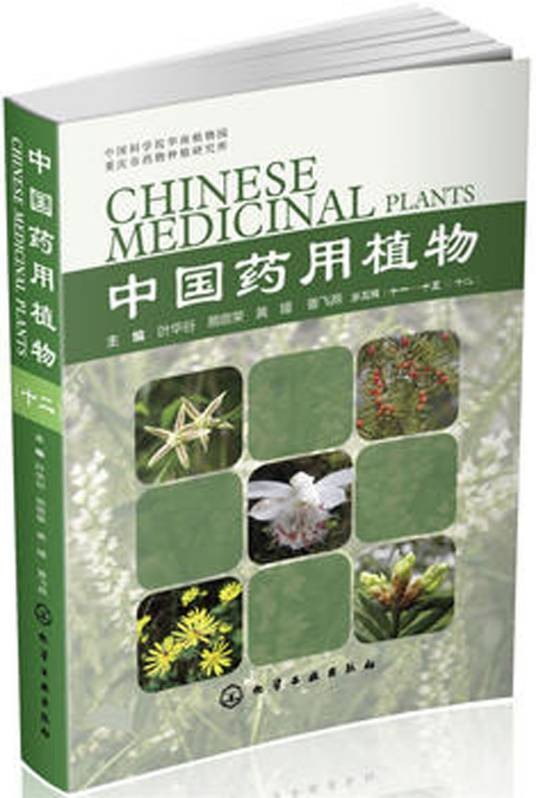 中国药用植物（十二）