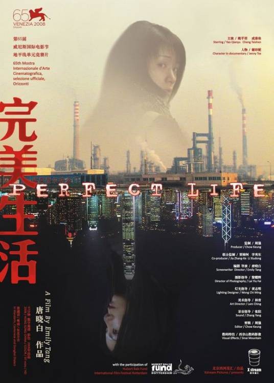 完美生活（2008年唐晓白执导的纪录片）