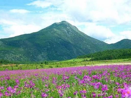 文海（云南省旅游景区）