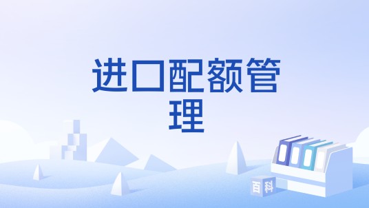 进口配额管理