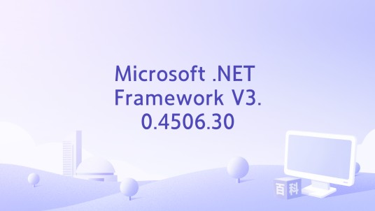 Microsoft .NET Framework V3.0.4506.30