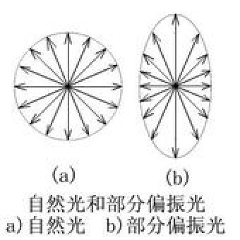 线偏振光