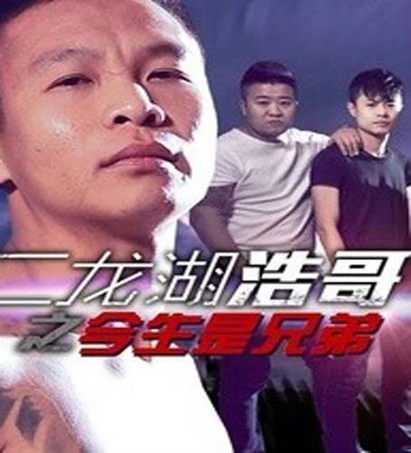 今生是兄弟（张浩执导的抗日题材喜剧电影）