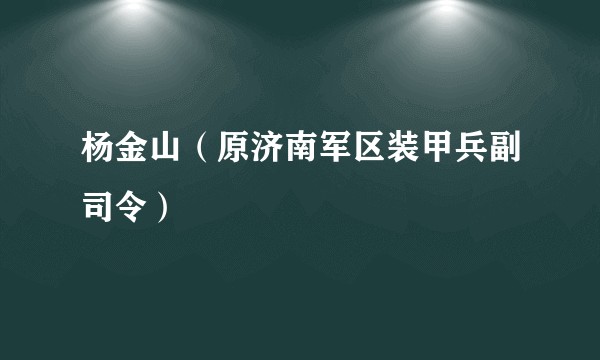 杨金山（原济南军区装甲兵副司令）