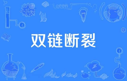 双链断裂