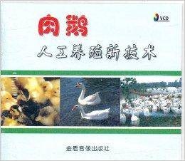 肉鹅人工养殖新技术