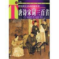 唐诗宋词三百首（2010年航空工业出版社出版的图书）