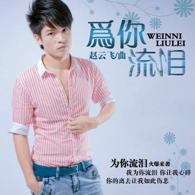 为你流泪（赵云飞演唱歌曲）