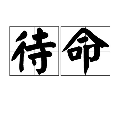 待命(汉语词语)