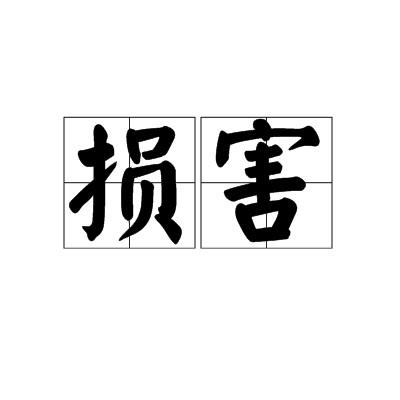 损害（汉语词语）