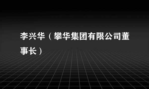 李兴华（攀华集团有限公司董事长）