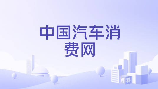 中国汽车消费网