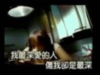 最爱的人伤我最深（1996年张雨生、张惠妹演唱的歌曲）