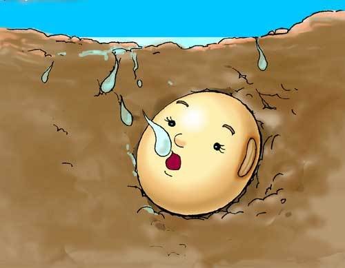 小黄豆（中国当代网络文学作家）