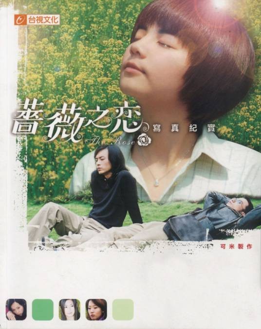 蔷薇之恋（2003年瞿友宁、李慧珠执导的偶像剧）