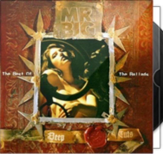 Wild world（Mr. Big演唱的歌曲）
