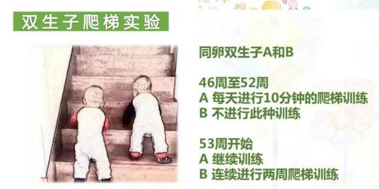 双生子爬梯试验