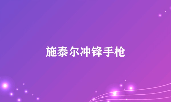 施泰尔冲锋手枪