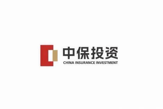 中保投资有限责任公司