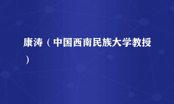 康涛(中国西南民族大学教授)