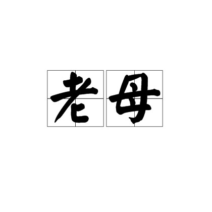 老母