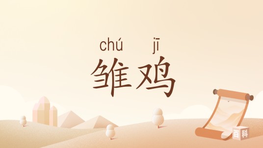雏鸡（汉语词语）