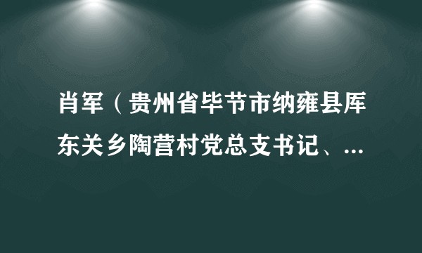 肖军（贵州省毕节市纳雍县厍东关乡陶营村党总支书记、村委会主任，第十四届全国人大代表）