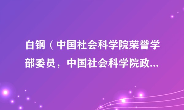 白钢(中国社会科学院荣誉学部委员,中国社会科学院政治学研究所研究员)
