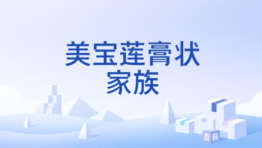 美宝莲膏状家族